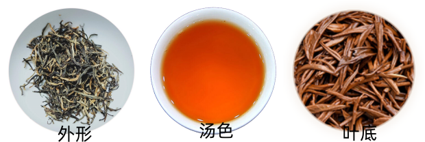 信阳红茶