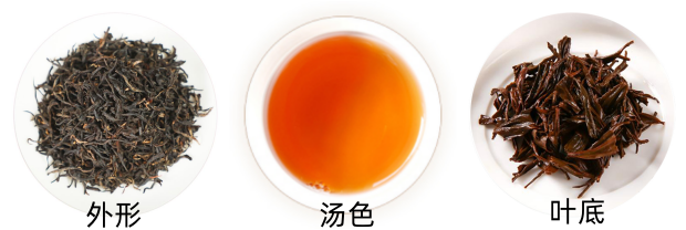 越红工夫茶