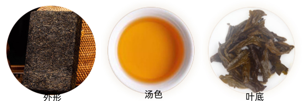 蛹虫草茯茶