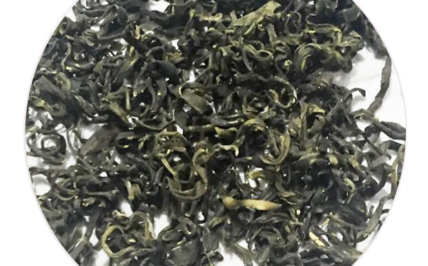 龙岩斜背茶