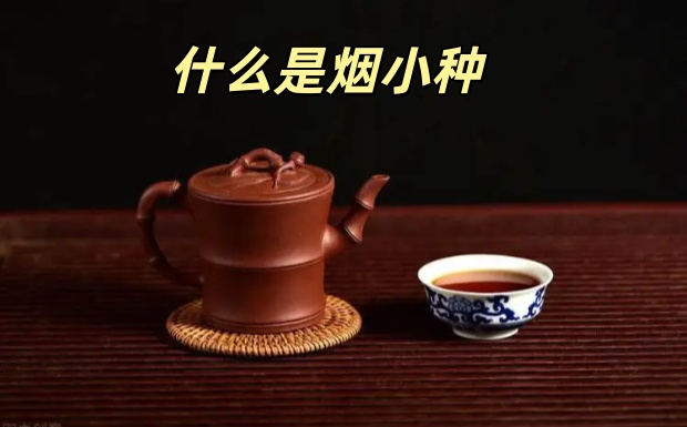 什么是烟小种