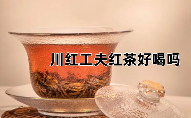 川红工夫红茶好喝吗