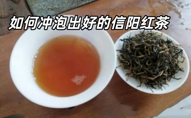 如何冲泡出好的信阳红茶