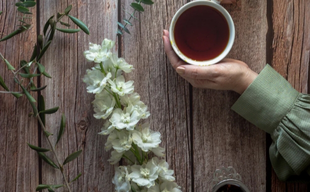 平水珠茶什么时候喝最好