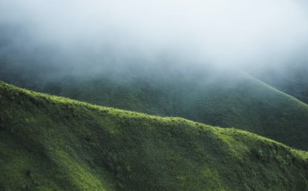 霍山黄芽的产地及品质特征