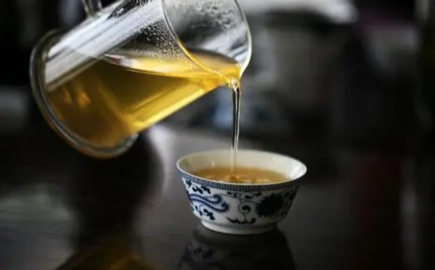 广东大叶青是什么茶