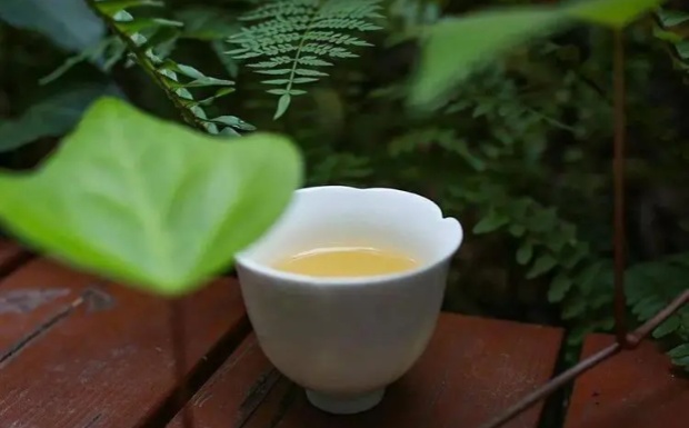 东方美人茶保质期多久