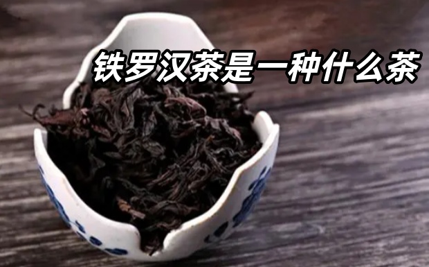 铁罗汉茶是一种什么茶