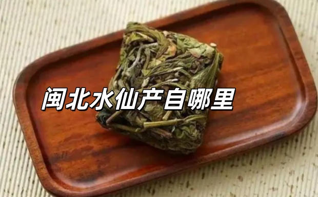 闽北水仙产自哪里