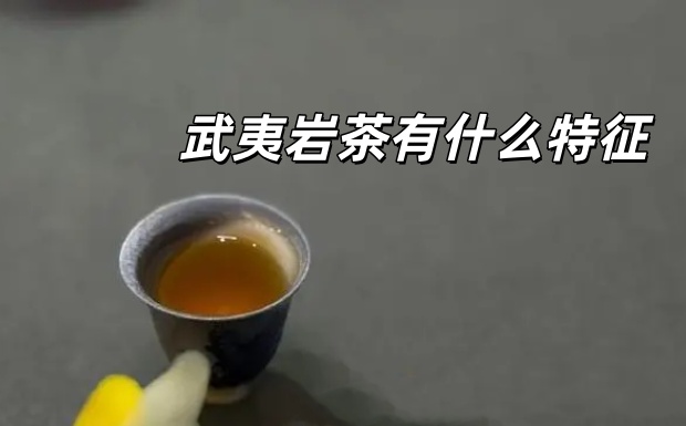 武夷岩茶有什么特征