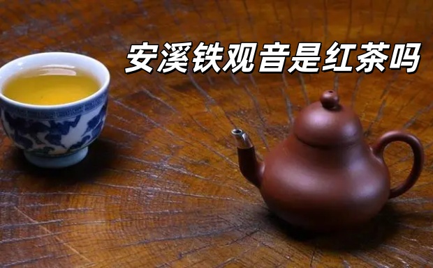 安溪铁观音是红茶吗