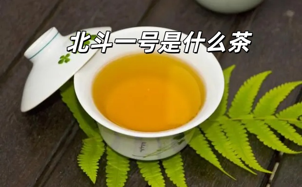 北斗一号是什么茶