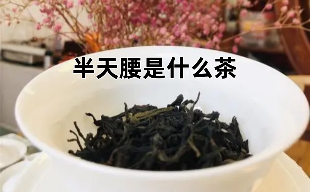 半天腰是什么茶