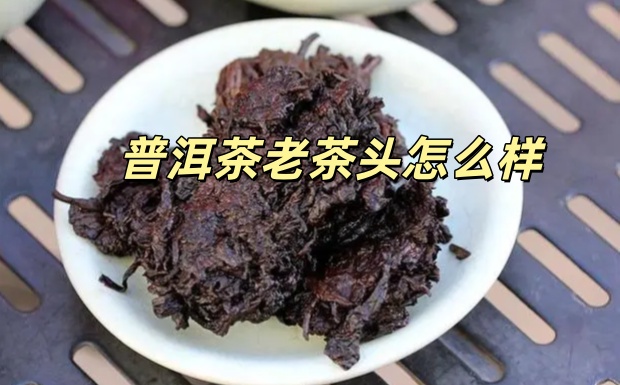 普洱茶老茶头怎么样