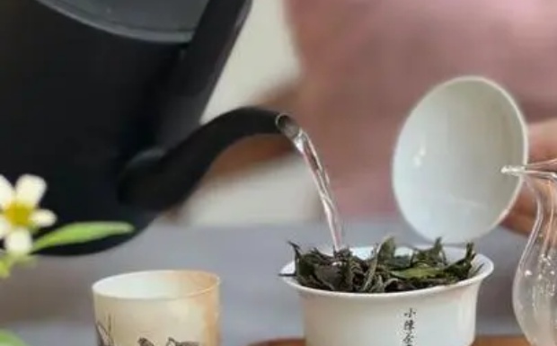 竹叶茶怎么泡最好喝