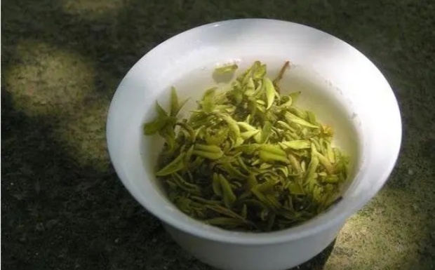 莫干山黄芽是什么茶