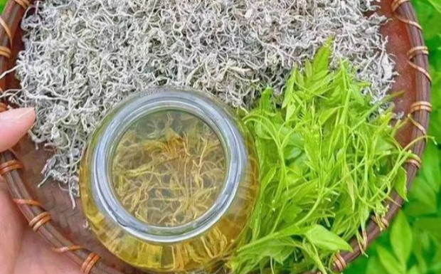 莓茶为什么叫莓茶