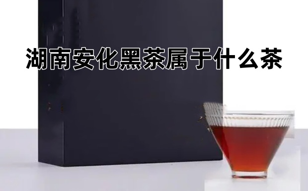 湖南安化黑茶属于什么茶