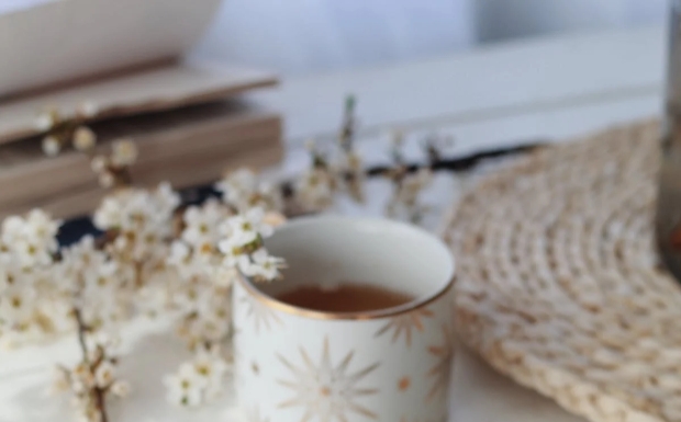 雨花茶的冲泡方法